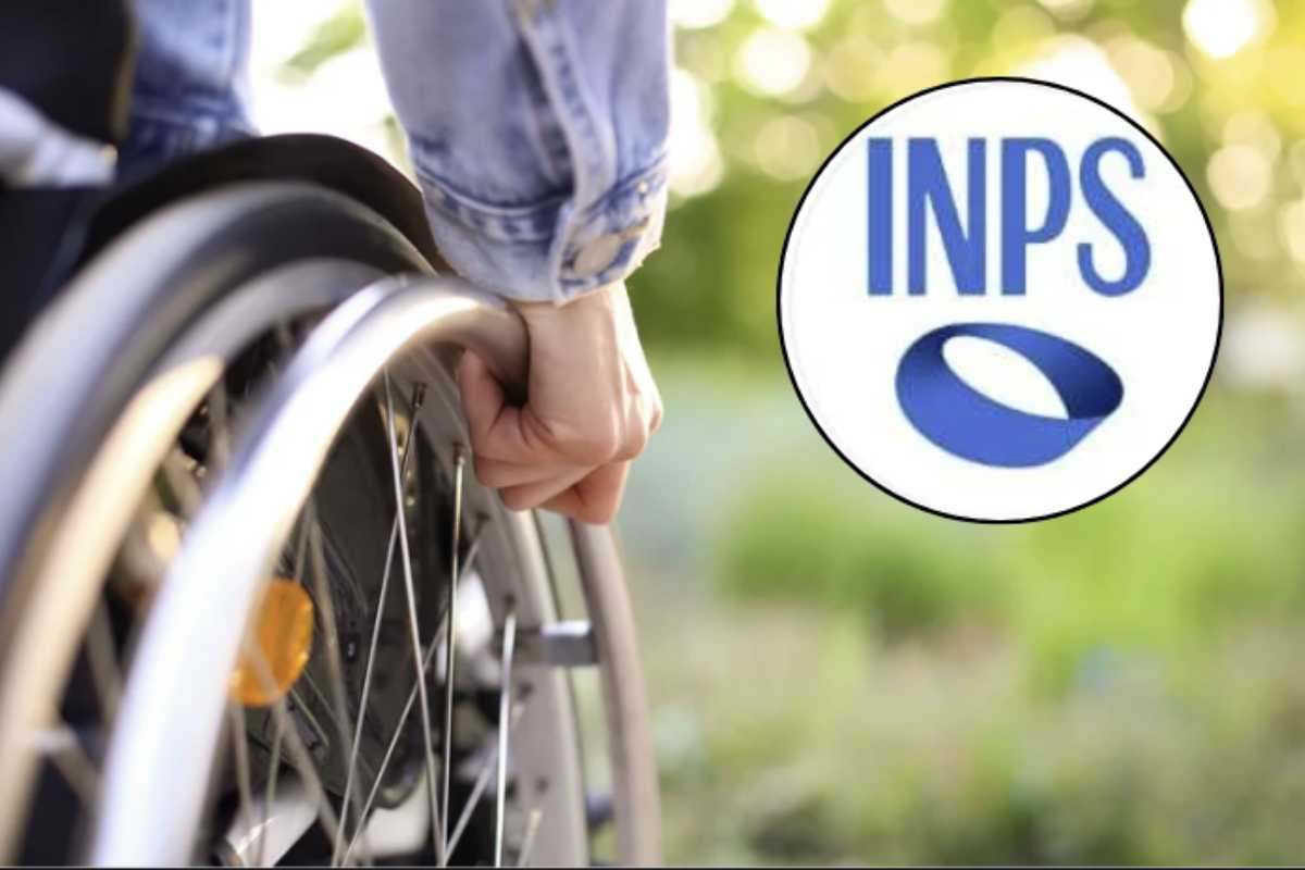 Questo intervento normativo, che attua la legge delega 22 dicembre 2021, n. 227, rappresenta un profondo cambiamento nel sistema