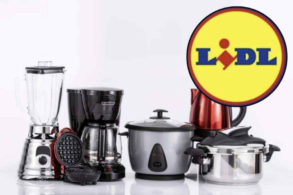 Lidl, la catena di supermercati nota per le sue offerte competitive e prodotti di qualità, propone un frullatore a immersione a soli 8,99 euro
