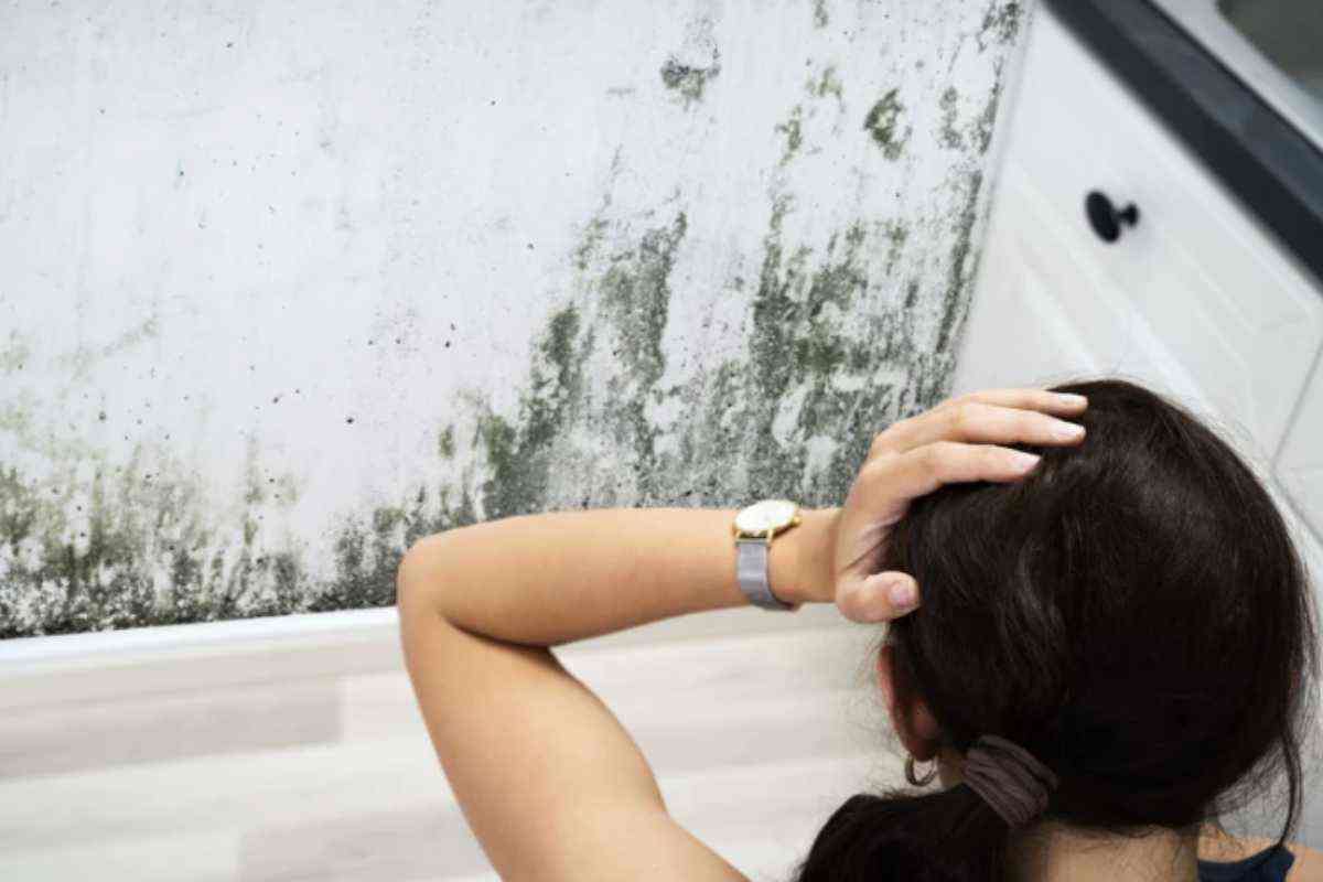 Negli ultimi anni, tuttavia, è cresciuto l’interesse verso metodi più naturali e sostenibili che non solo rimuovono la muffa