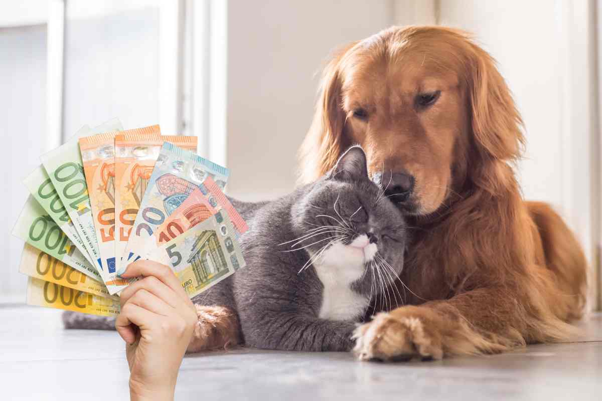 Bonus animali domestici, fino a 300 euro