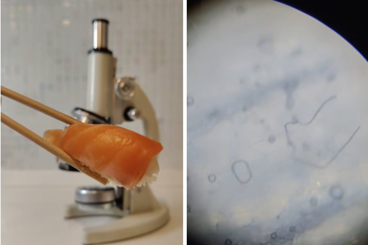Sushi al microscopio