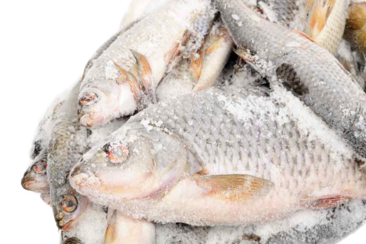 Il vero test arriva quando il pesce viene scongelato. È lì che emergono le differenze più evidenti.